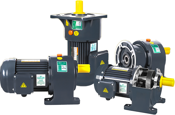 Small AC Gear Motors