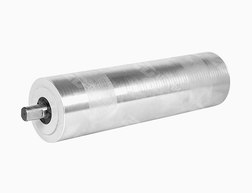 DM/DMX113 AC Motor Roller