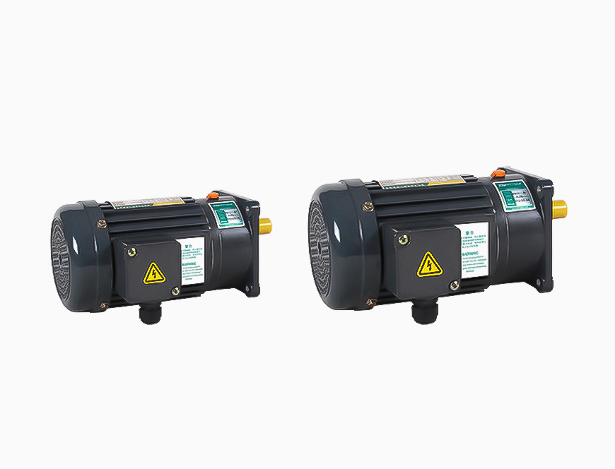 100W~750W Gearbox With Shaft Dia ф22mm With 1-Phase Small AC Gear Motor