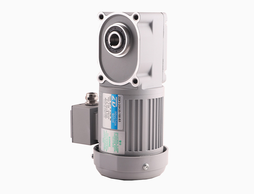 ZDF3 100W Hypoid Gear Motor