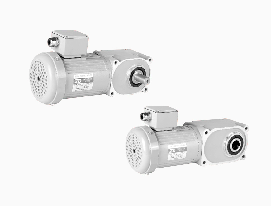ZDF3 200W Hypoid Gear Motor