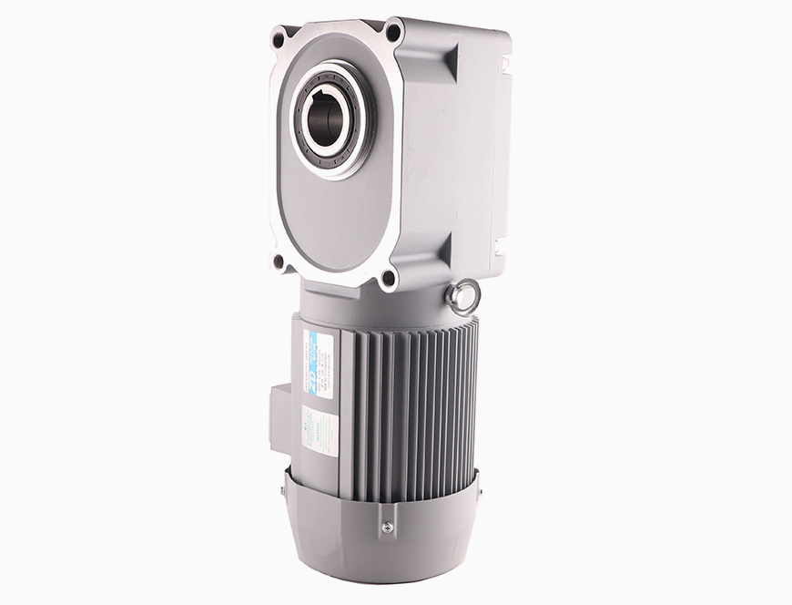 ZDF3 2200W Hypoid Gear Motor