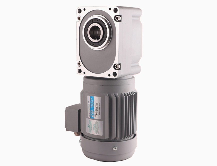 ZDF3 750W Hypoid Gear Motor