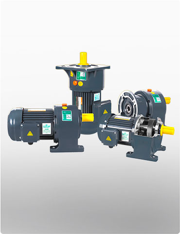 Small AC Gear Motor