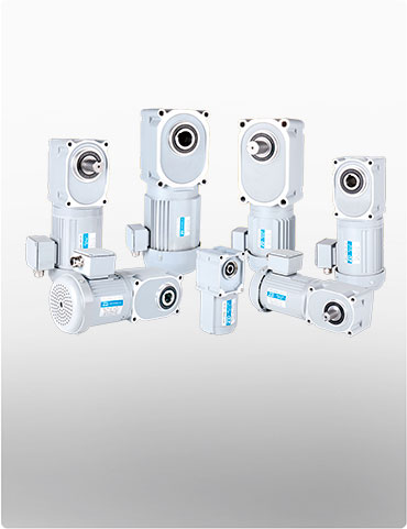ZDF2、ZDF3 Hypoid Gear Motor