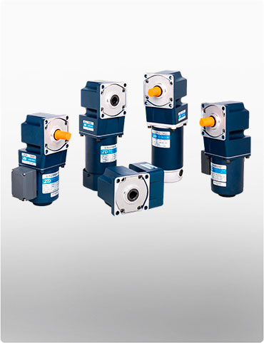 DC Gear Motors