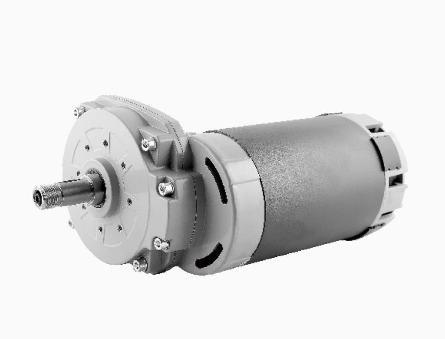 How to disassemble the vertical gear reduction motor?